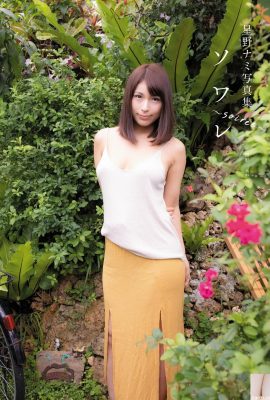 หนังสือภาพนามิ โฮชิโนะ “Soiree” (71P)