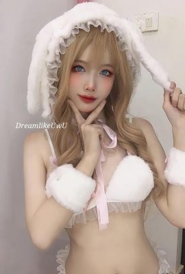 DreamlikeUwU – กระต่ายขาว (59P)