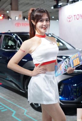 (รวบรวมจากอินเทอร์เน็ต) 2023 New Taipei Motor Show นิทรรศการโมเดลที่สวยงามสมจริง (108P)