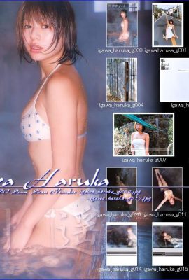 Ikawa Haruka (อัลบั้มรูป) (รายเดือน ชิริズ022) – รายเดือน 022 (55P)