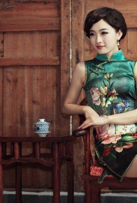 ภาพวาดสีน้ำมันของความงาม cheongsam ที่มีเสน่ห์ (8P)