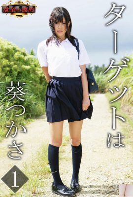 Tsukasa Aoi (Photobook) เป้าหมายของความปรารถนาคือเล่ม 1 (81P)