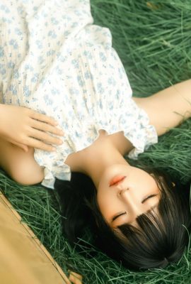 อนิเมะ – กล่องไม้ Momo ที่โง่ (18p)