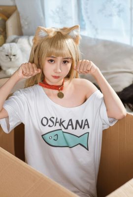 ปลาทอง kinngyo “แมว” (57p)