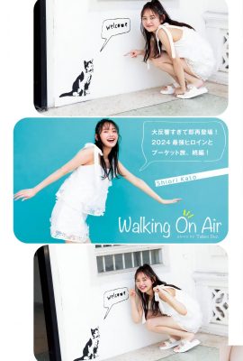 (Kato Sato) รูปลักษณ์ที่สวยงามเต็มไปด้วยรูปซึ่งน่าทึ่งยิ่งกว่า (12p)