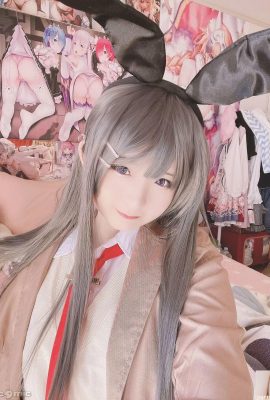 (โง่) Mai Sakurajima Mai (27p)