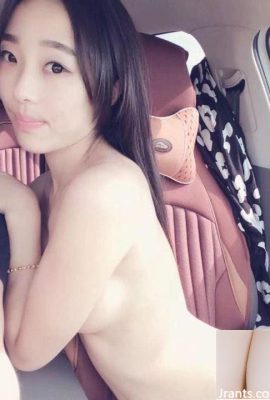 สาว ๆ ที่ชอบเล่นกับรถช็อก (12p)