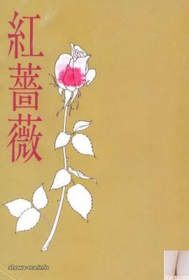 ดาราหนังโป๊ใน URA-Books Red Rose (59p)