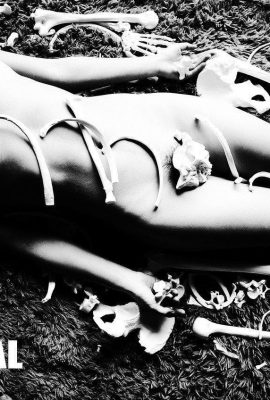 (ผลงานของ Wang Dong) รูปภาพ WANIMAL Tumblr (123) (32P)