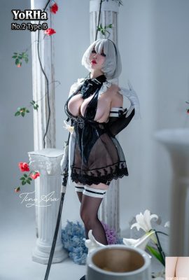 (คอลเลกชันออนไลน์) Tiny Asa Аサ(tiny.asababy) cosplay 2B – เนียร์ออโตมาตา (85P)