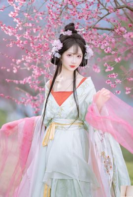 ซูซูตัวน้อยจาก Plum Blossom Fairy Qiluosheng (21P)