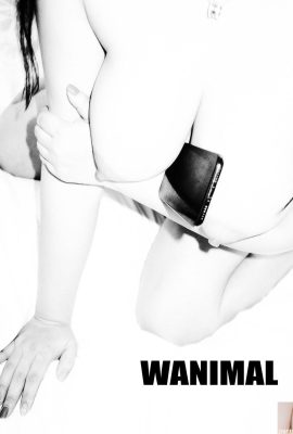 (ผลงานของ Wang Dong) Wang Dong) คอลเลกชันภาพถ่าย WANIMAL Tumblr (105) (50P)